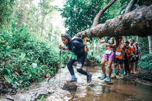 BIB: 
                            <button type="button" onclick="openModal(25372090)" class="btn btn-primary btn-sm float-right btn-popup" data-toggle="modal" data-target=".modal-high-quality">
                        <i class="fas fa-shopping-cart"></i> Add to Cart
                    </button>
                                            <button type="button" onclick="isThisMe(25372090, true)" class="btn btn-success btn-sm float-right btn-popup btn-isme hidden" data-toggle="tooltip" data-placement="bottom" title="นี่คือรูปของคุณใช่ไหม คลิกที่นี่เพื่อเอาเข้าอัลบั้ม">
                        <i class="fas fa-plus"></i> Add to album
                    </button>
                    <button type="button" onclick="isThisMe(25372090, false)" class="btn btn-warning btn-sm float-right btn-popup btn-isnotme hidden">
                        <i class="fas fa-ban"></i> Remove from album
                    </button>